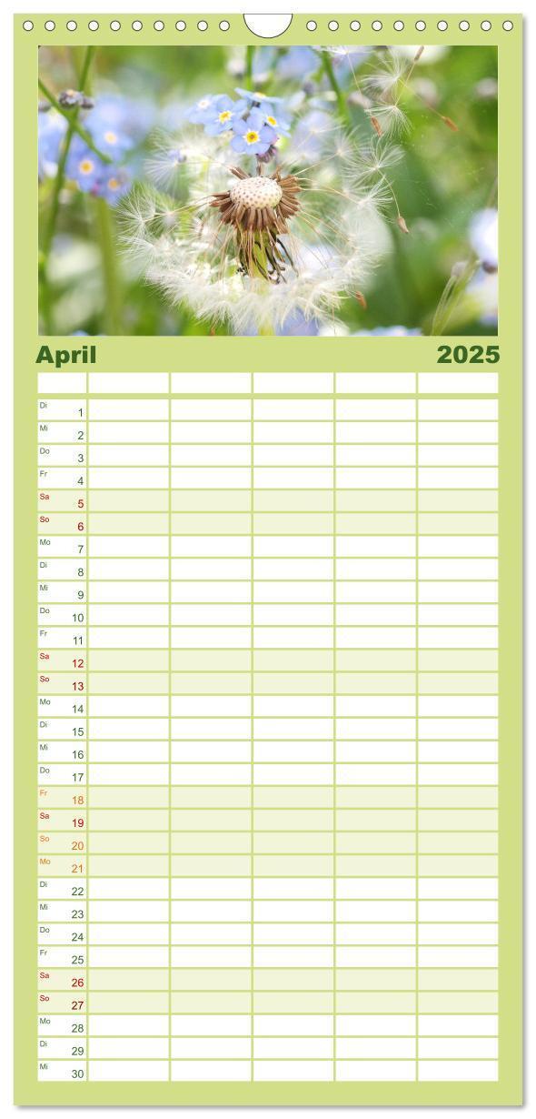 Bild: 9783457100844 | Familienplaner 2025 - Sanfte Natur mit 5 Spalten (Wandkalender, 21...