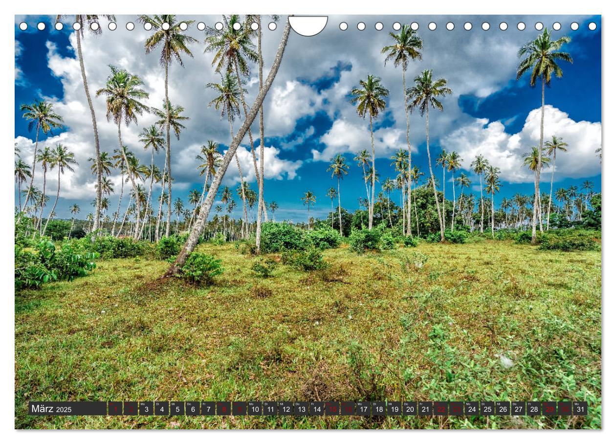 Bild: 9783435364947 | Inselparadies Sansibar (Wandkalender 2025 DIN A4 quer), CALVENDO...