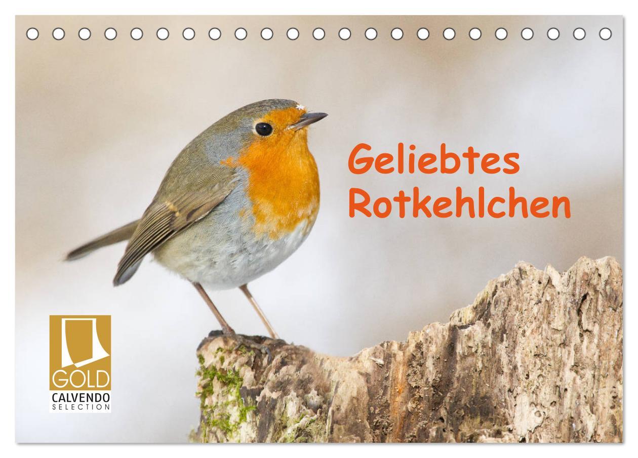 Cover: 9783435170791 | Geliebtes Rotkehlchen (Tischkalender 2025 DIN A5 quer), CALVENDO...