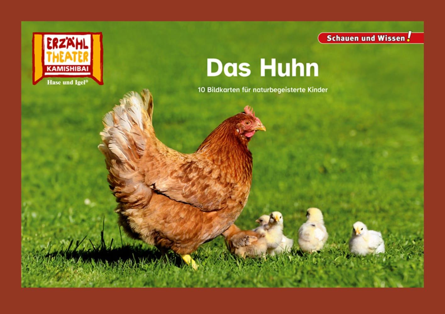 Cover: 4260505832919 | Das Huhn / Kamishibai Bildkarten | Taschenbuch | Schauen und Wissen!