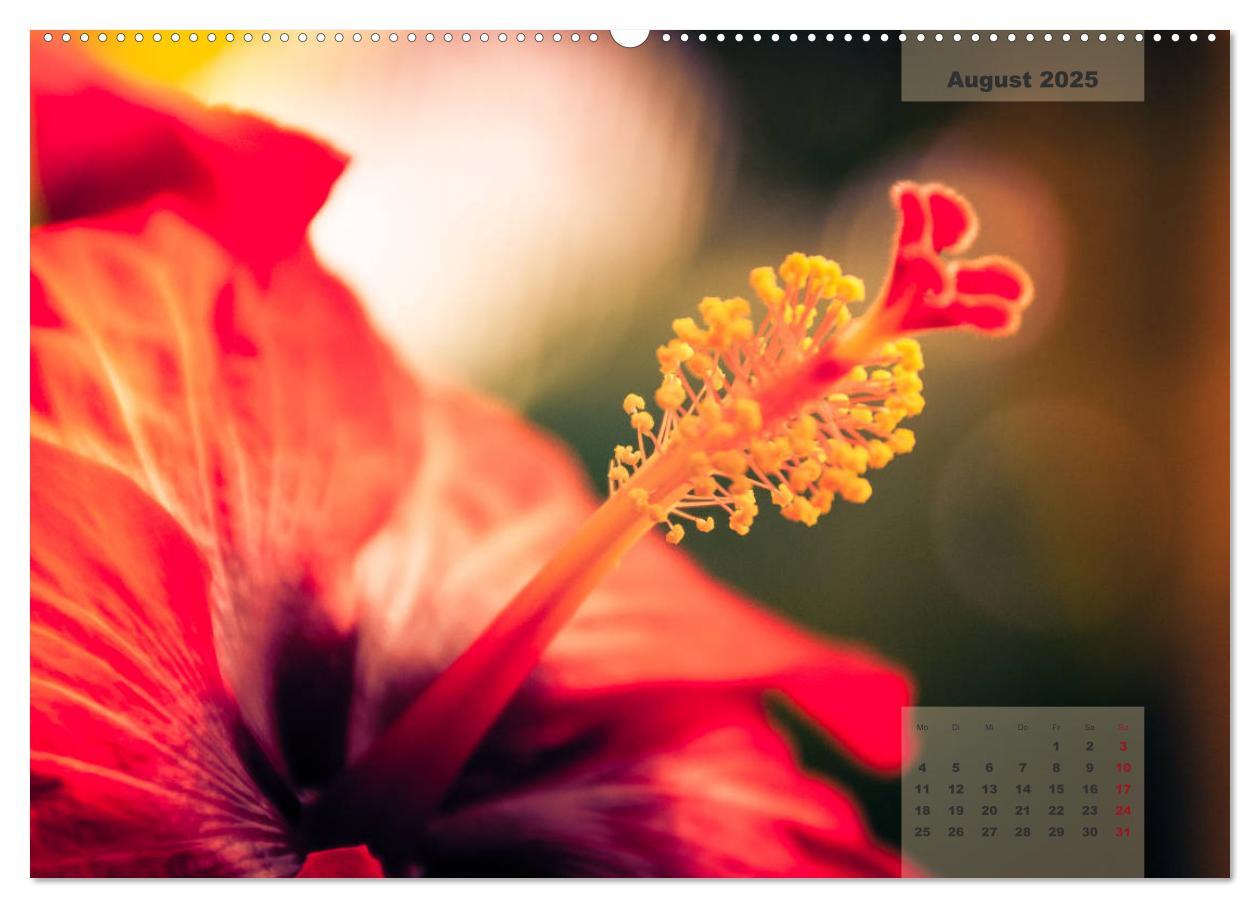 Bild: 9783435304523 | Blüten im Retro-Style (Wandkalender 2025 DIN A2 quer), CALVENDO...