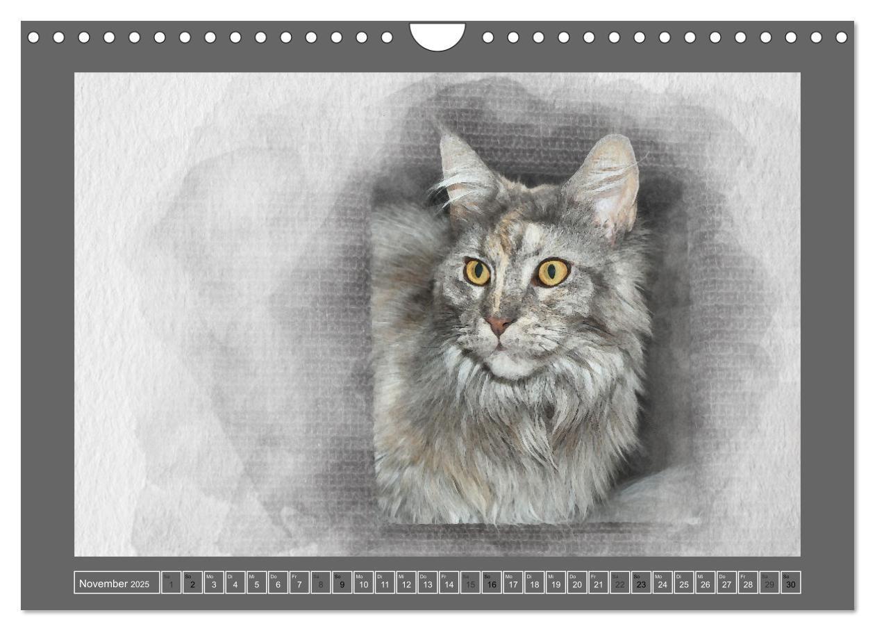 Bild: 9783435024506 | Maine Coon Aquarelle (Wandkalender 2025 DIN A4 quer), CALVENDO...