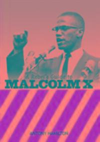 Cover: 9781910885123 | A Rebel's Guide to Malcolm X | Antony Hamilton | Taschenbuch | 2016