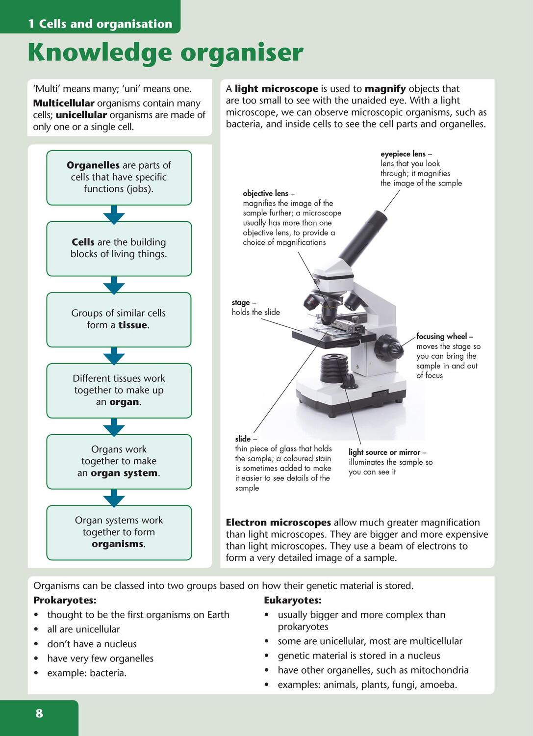 Bild: 9780008531522 | KS3 Science Now Learn and Practice Book | Tracey Baxter (u. a.) | Buch