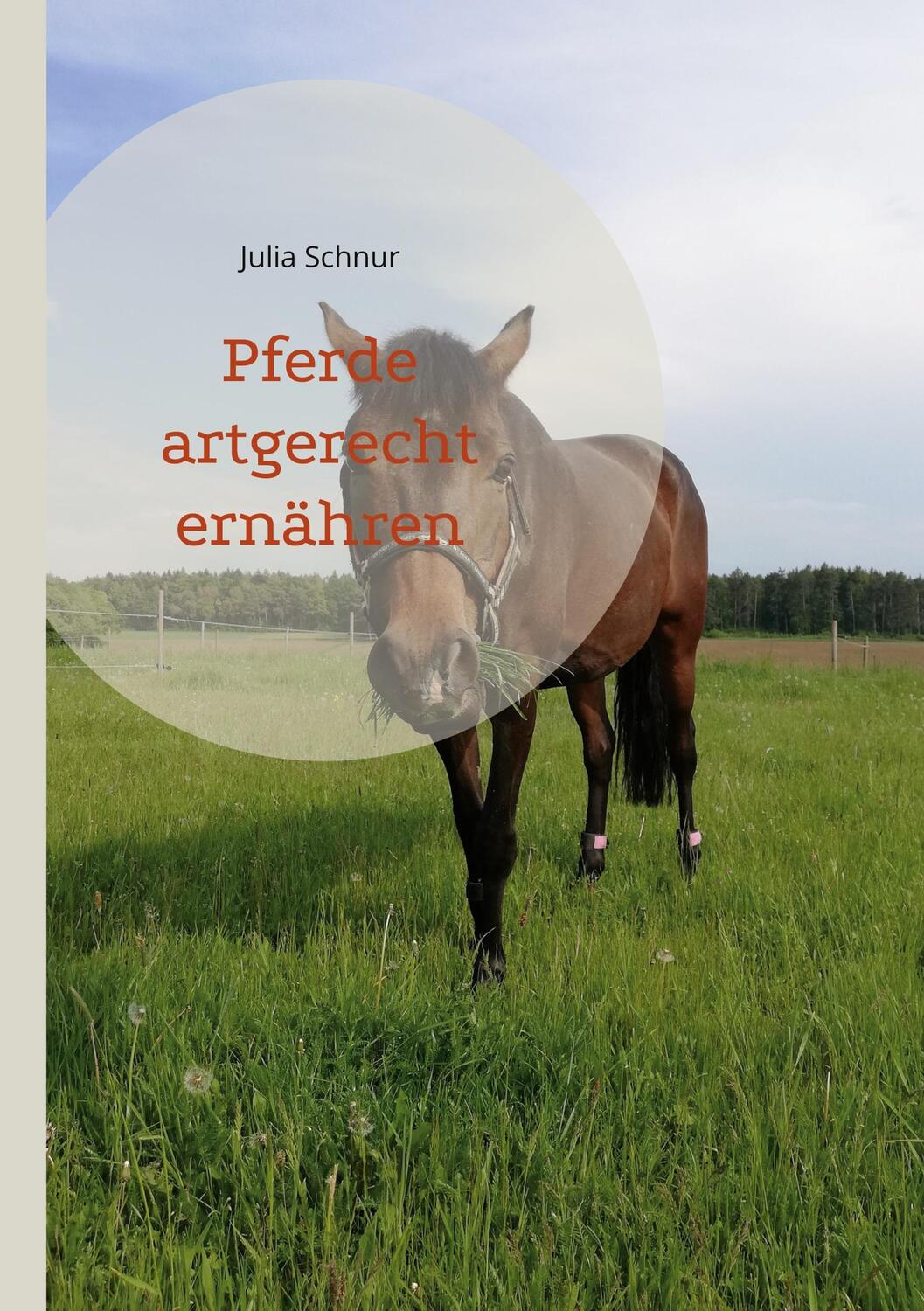 Cover: 9783739200989 | Pferde artgerecht ernähren | Julia Schnur | Taschenbuch | Paperback