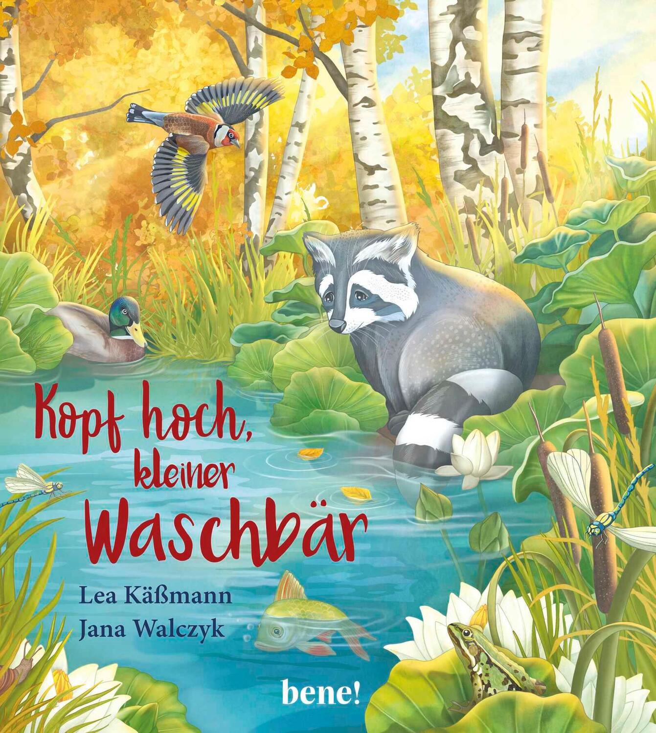 Cover: 9783963401756 | Kopf hoch, kleiner Waschbär - ein Bilderbuch für Kinder ab 2 Jahren