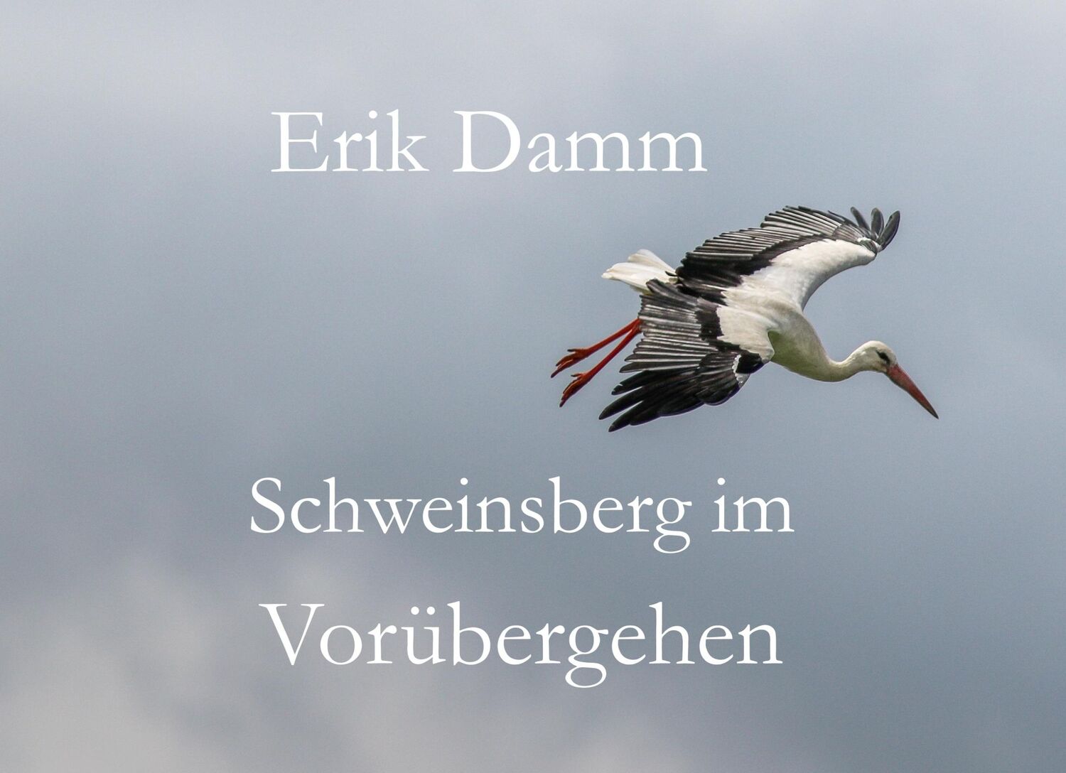 Cover: 9783748151890 | Schweinsberg im Vorübergehen | Erik Damm | Buch | 60 S. | Deutsch