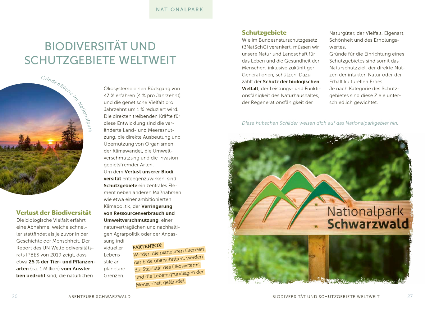 Bild: 9783957286659 | Abenteuer Schwarzwald | Der Natur auf der Spur | Program | Taschenbuch