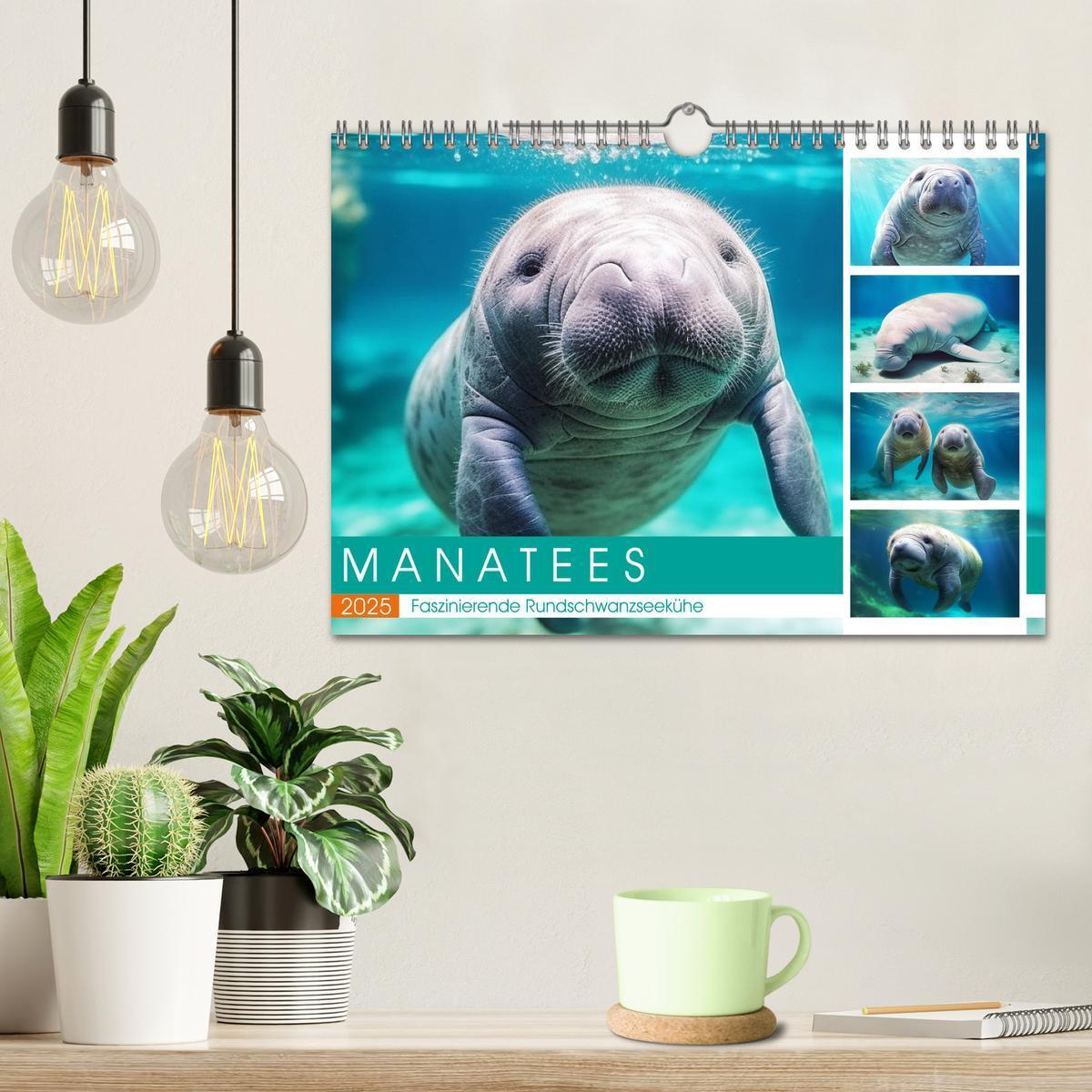 Bild: 9783383858857 | Manatees. Faszinierende Rundschwanzseekühe (Wandkalender 2025 DIN...