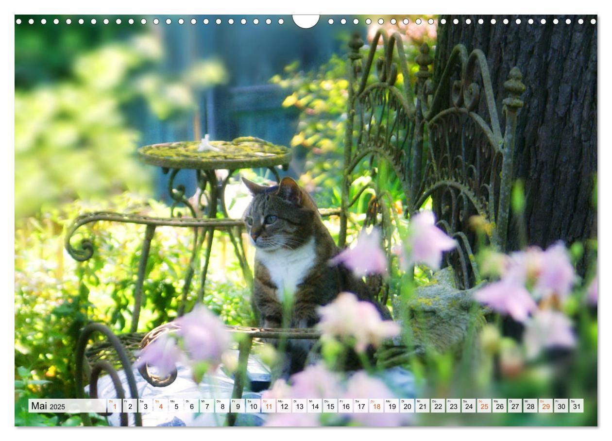 Bild: 9783435686933 | Momente im Garten (Wandkalender 2025 DIN A3 quer), CALVENDO...