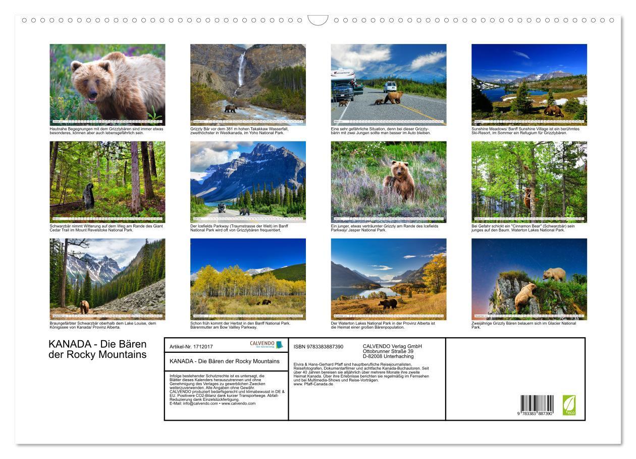 Bild: 9783383887390 | KANADA - Die Bären der Rocky Mountains (Wandkalender 2025 DIN A2...