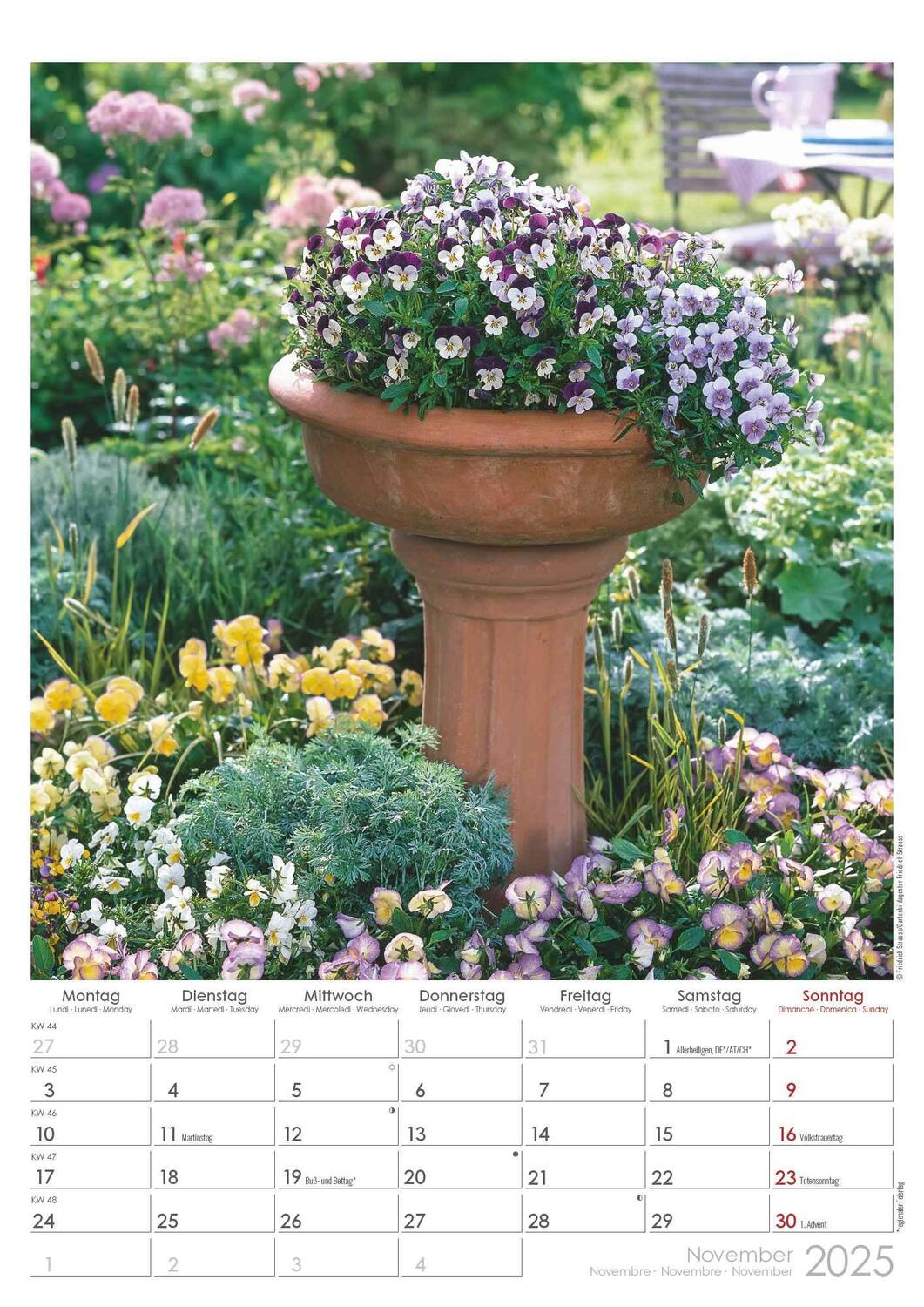 Bild: 4251732342005 | Traumgärten 2025 - Bildkalender A3 (29,7x42 cm) - Beautiful Gardens...