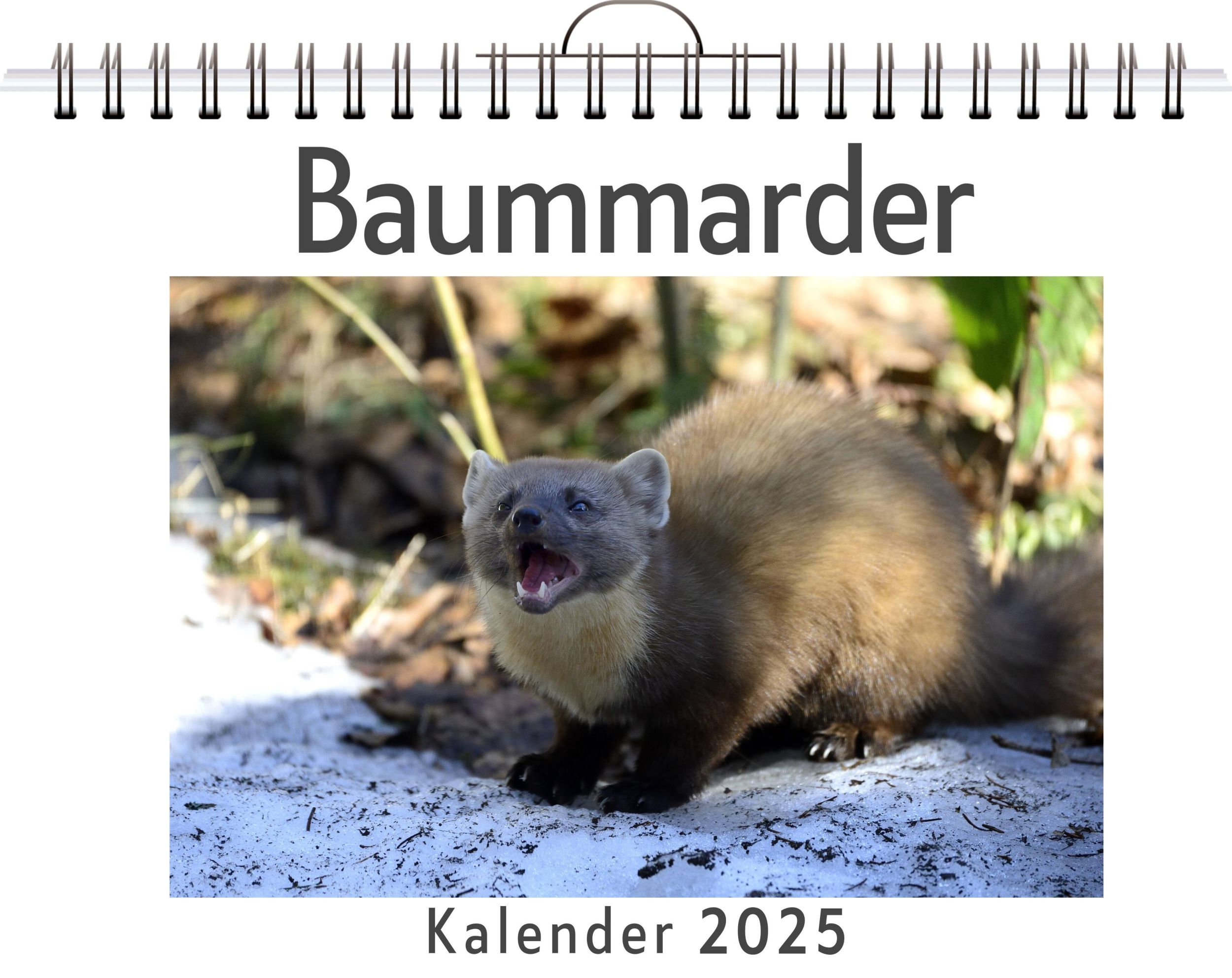 Cover: 9783759120625 | Baummarder | Oliver Keller | Kalender | Kalender | 14 S. | Deutsch