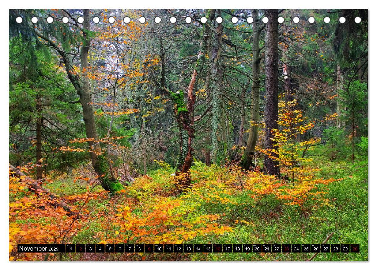 Bild: 9783435339679 | Riesengebirge - Zwischen Schlesien und Böhmen (Tischkalender 2025...