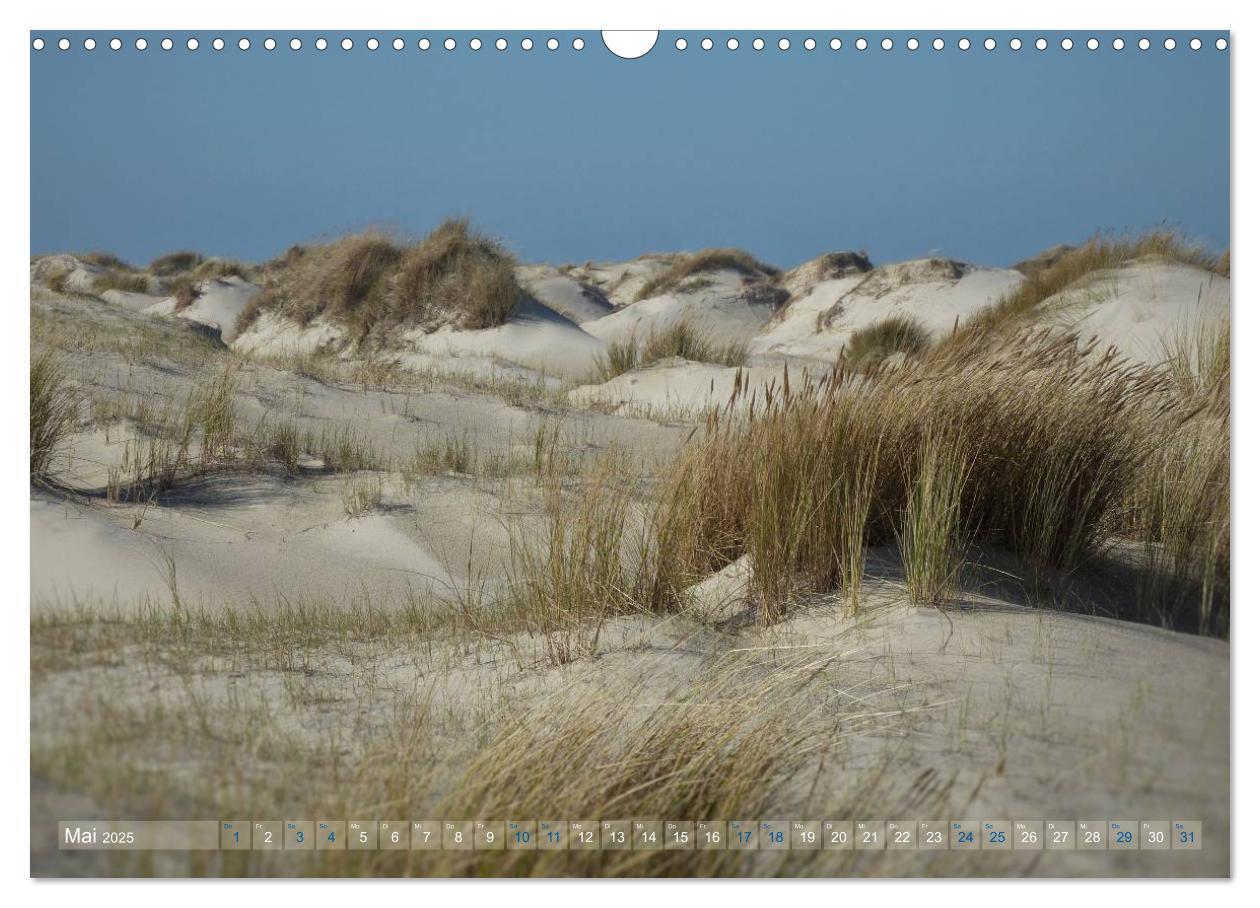 Bild: 9783435660780 | Texel. Neue Dünen (Wandkalender 2025 DIN A3 quer), CALVENDO...