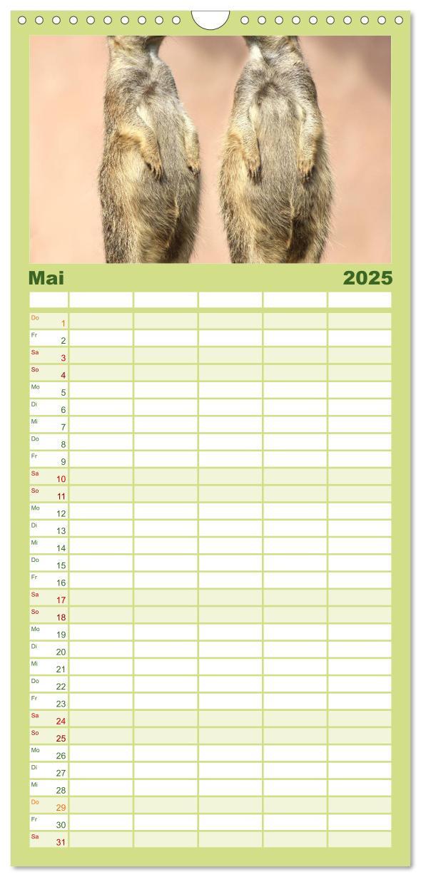 Bild: 9783457109656 | Familienplaner 2025 - Erdmännchen mit 5 Spalten (Wandkalender, 21 x...