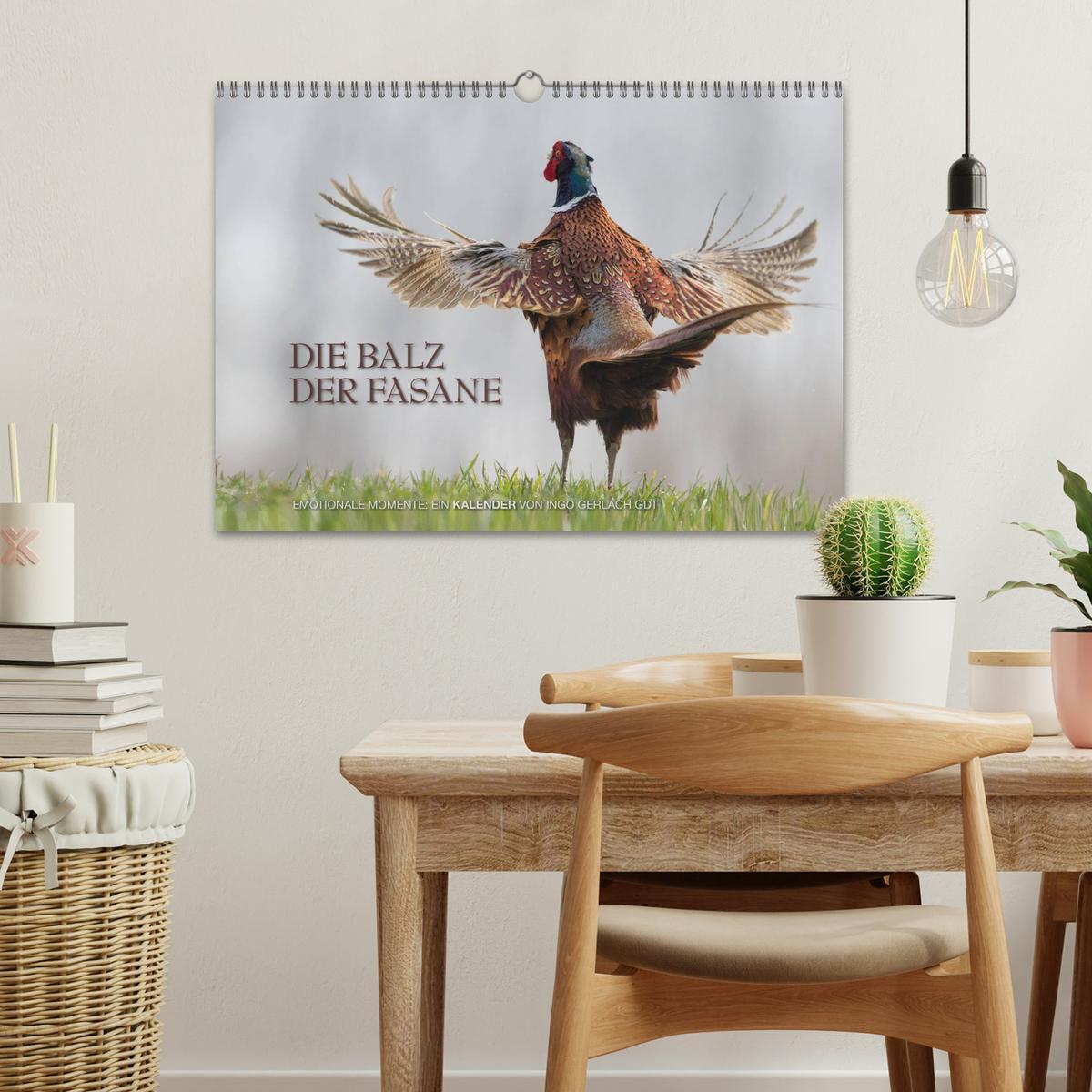 Bild: 9783435736058 | Emotionale Momente: Die Balz der Fasane / CH-Version (Wandkalender...