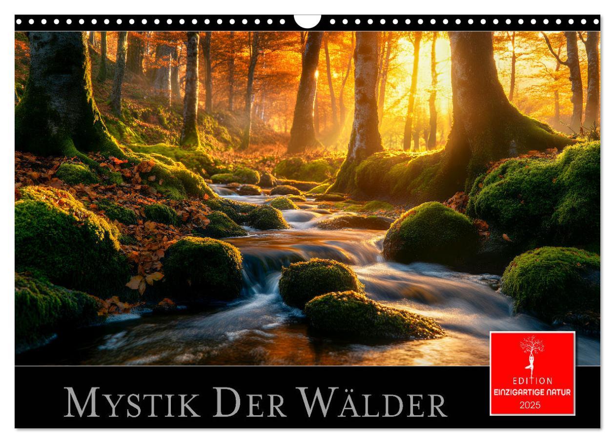 Cover: 9783457224786 | Mystik der Wälder (Wandkalender 2025 DIN A3 quer), CALVENDO...