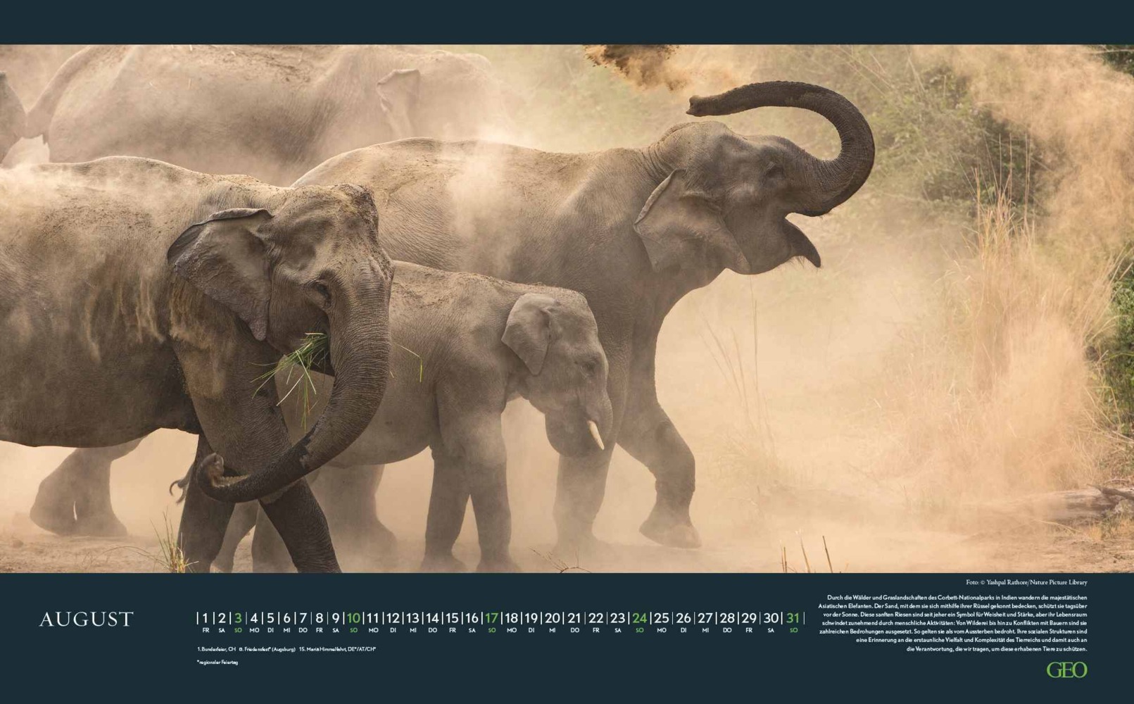 Bild: 4002725988645 | GEO - Bedrohte Tierwelt 2025 Wandkalender, 58x36cm, Posterkalender...