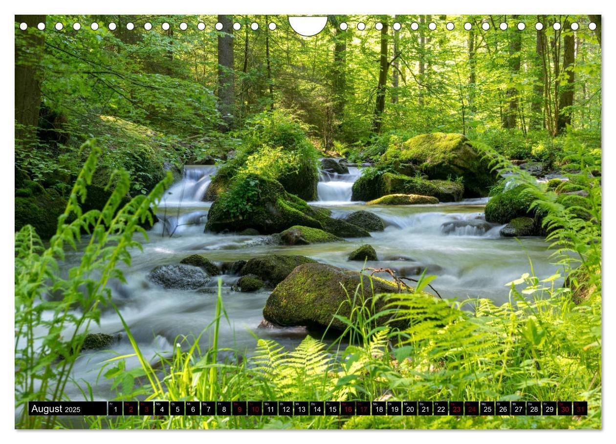 Bild: 9783435204779 | Unser Erzgebirge (Wandkalender 2025 DIN A4 quer), CALVENDO...