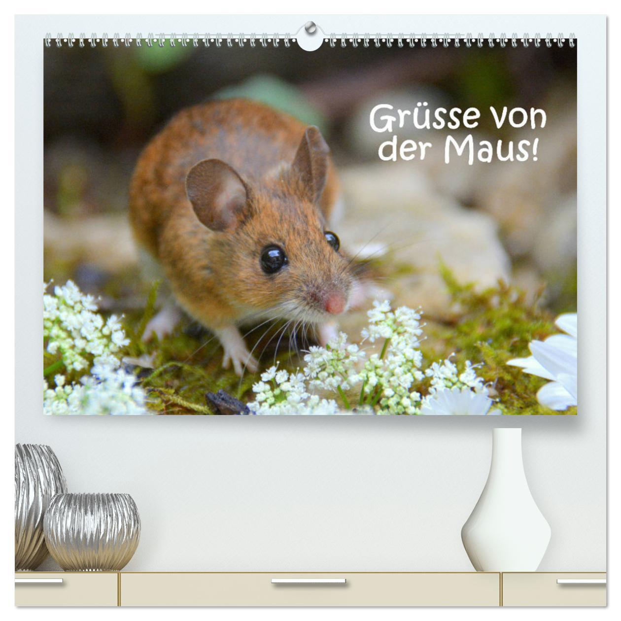 Cover: 9783435439089 | Grüsse von der Maus! (hochwertiger Premium Wandkalender 2025 DIN A2...