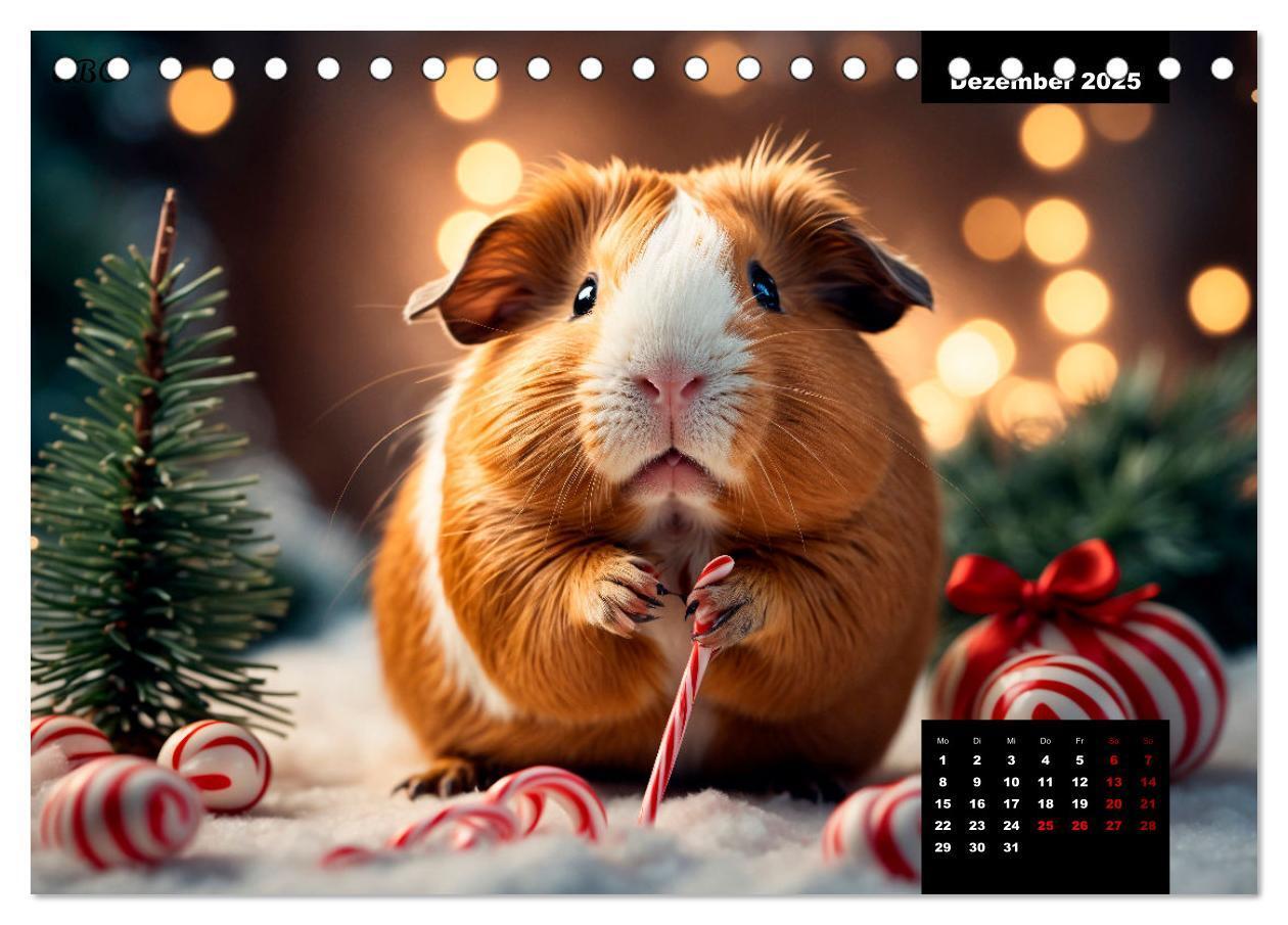 Bild: 9783435013135 | Meerschweinchen mal anders! (Tischkalender 2025 DIN A5 quer),...