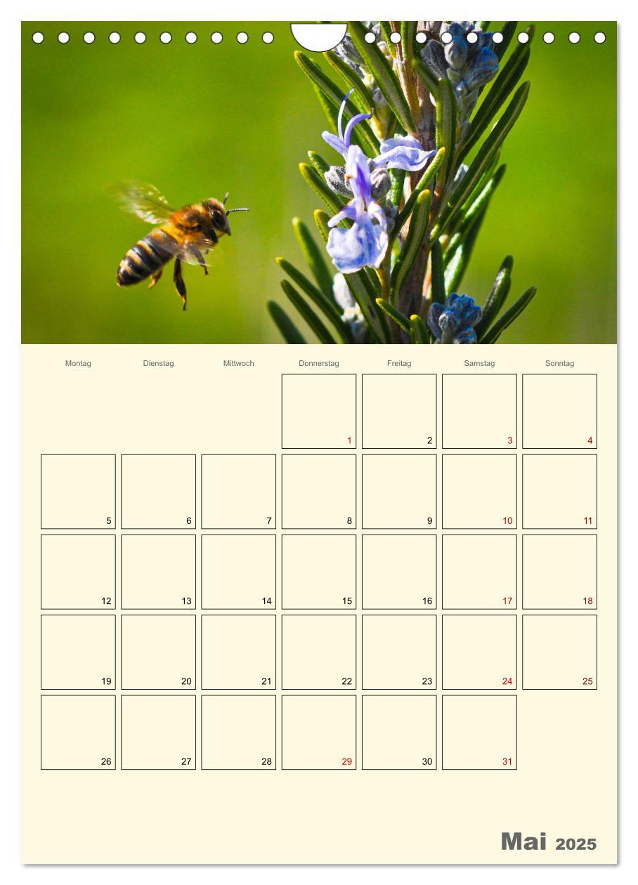 Bild: 9783435958023 | Bienen im Naturgarten (Wandkalender 2025 DIN A4 hoch), CALVENDO...