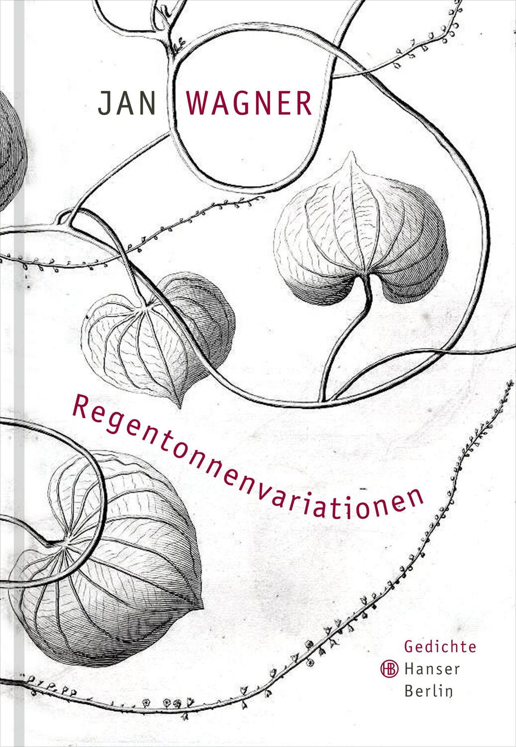 Cover: 9783446246461 | Regentonnenvariationen | Jan Wagner | Buch | 97 S. | Deutsch | 2014