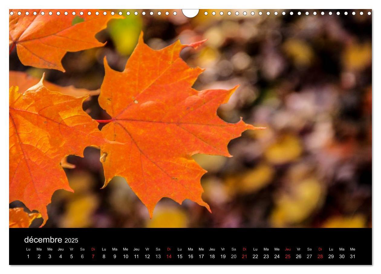 Bild: 9781325956487 | Paysages d'Automne au Québec (Calendrier mural 2025 DIN A3...