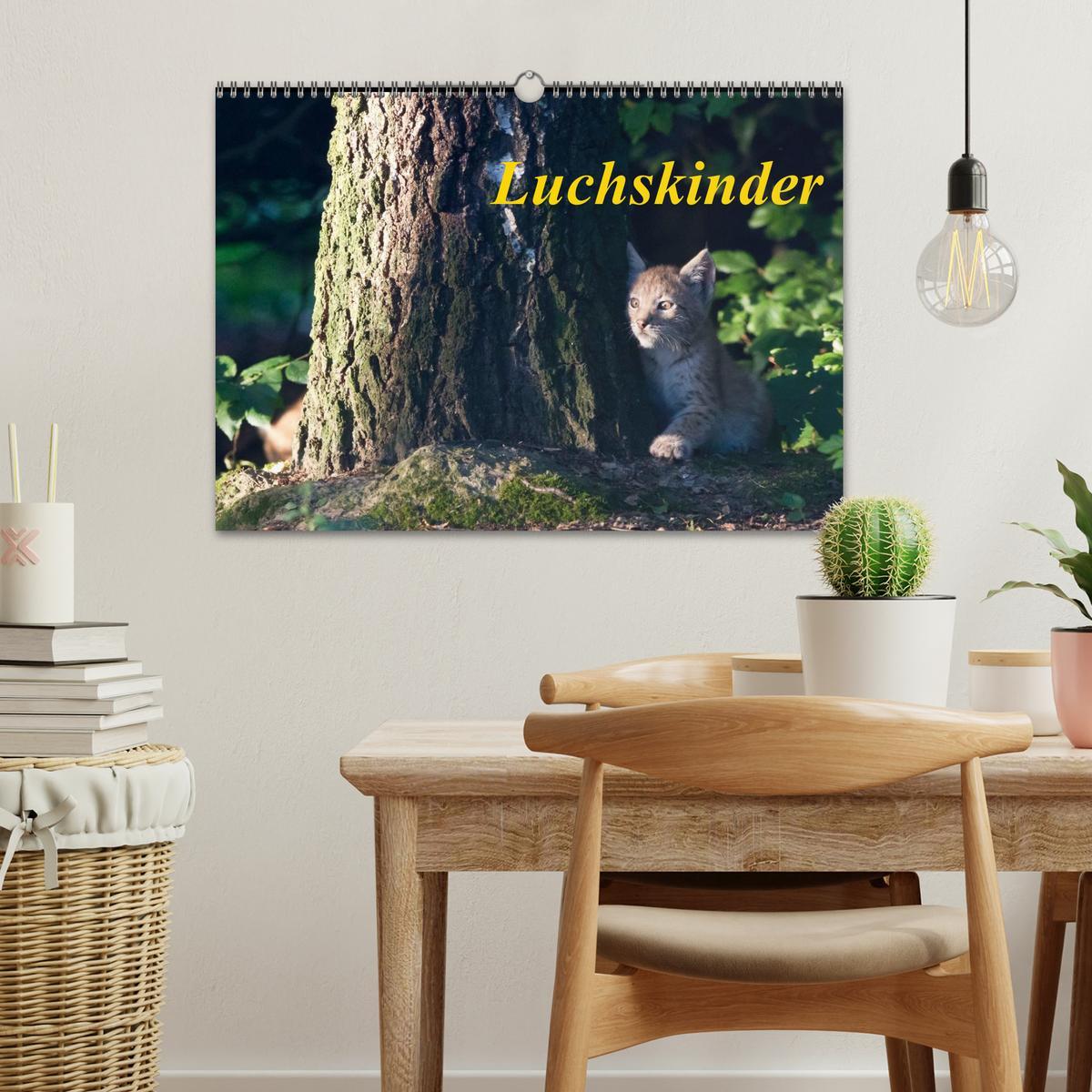 Bild: 9783435502721 | Luchskinder (Wandkalender 2025 DIN A3 quer), CALVENDO Monatskalender