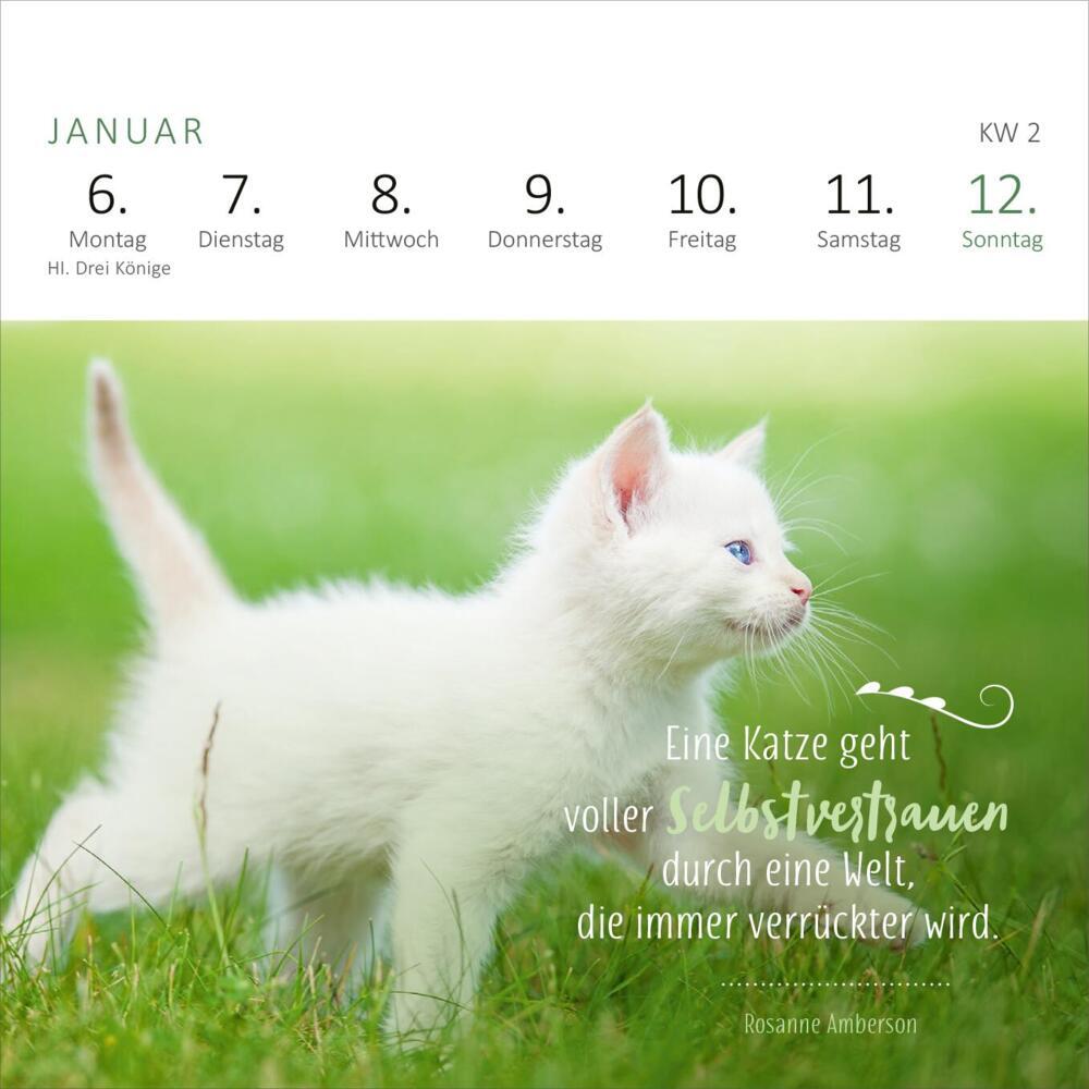 Bild: 4014489133063 | Mini-Wochenkalender Katzenweisheiten 2025 | Kalender | 108 S. | 2025