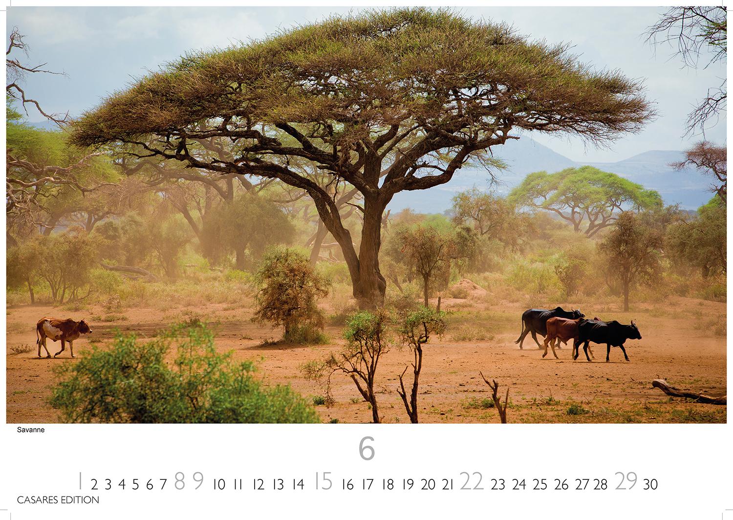 Bild: 9781835240618 | Kenia/Serengeti 2025 S 24x35 cm | Kalender | 14 S. | Deutsch | 2025