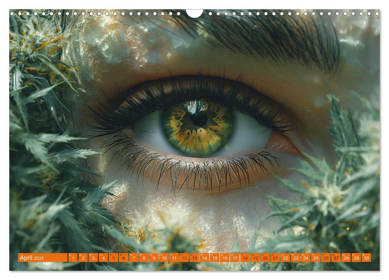 Bild: 9783383764714 | High Moments - Ein Jahr im Zeichen von Cannabis (Wandkalender 2025...