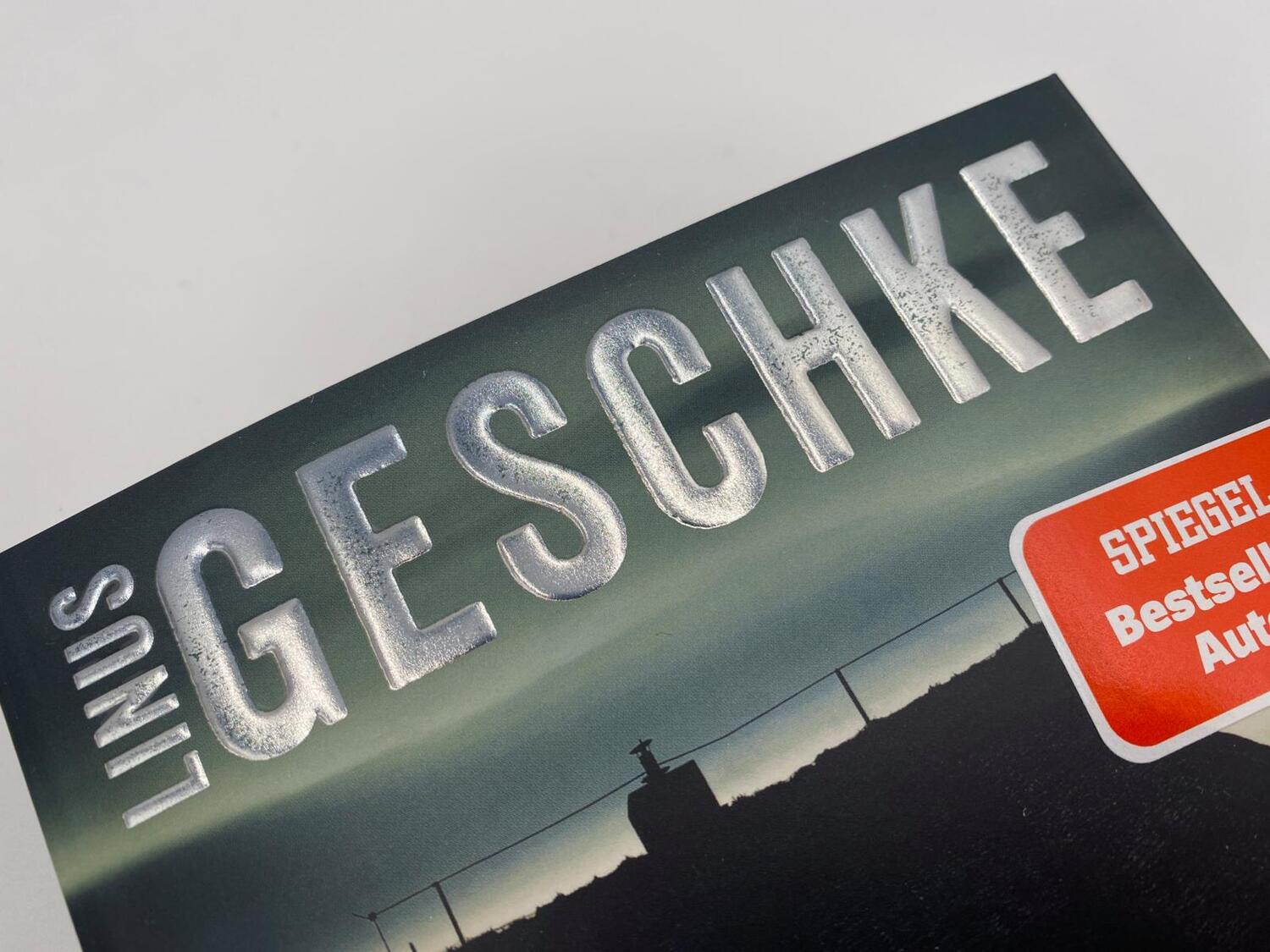 Bild: 9783492064798 | Die Verborgenen | Linus Geschke | Taschenbuch | 368 S. | Deutsch