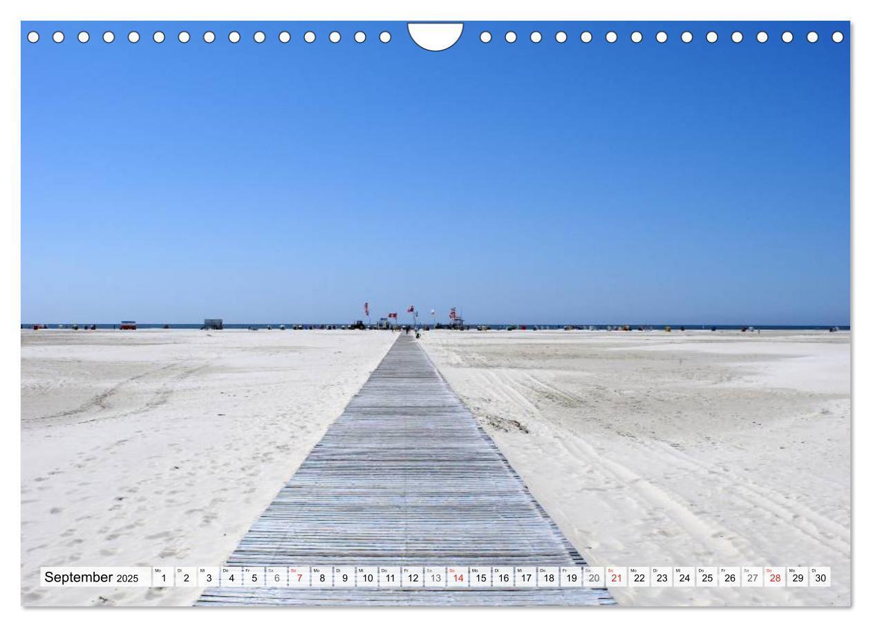 Bild: 9783435491285 | Amrum ¿ Trauminsel in der Nordsee (Wandkalender 2025 DIN A4 quer),...