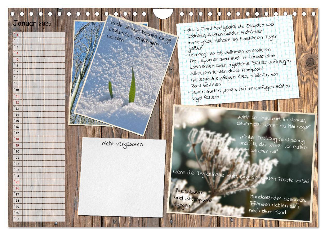 Bild: 9783435133116 | Was ist noch im Garten zu tun? (Wandkalender 2025 DIN A4 quer),...