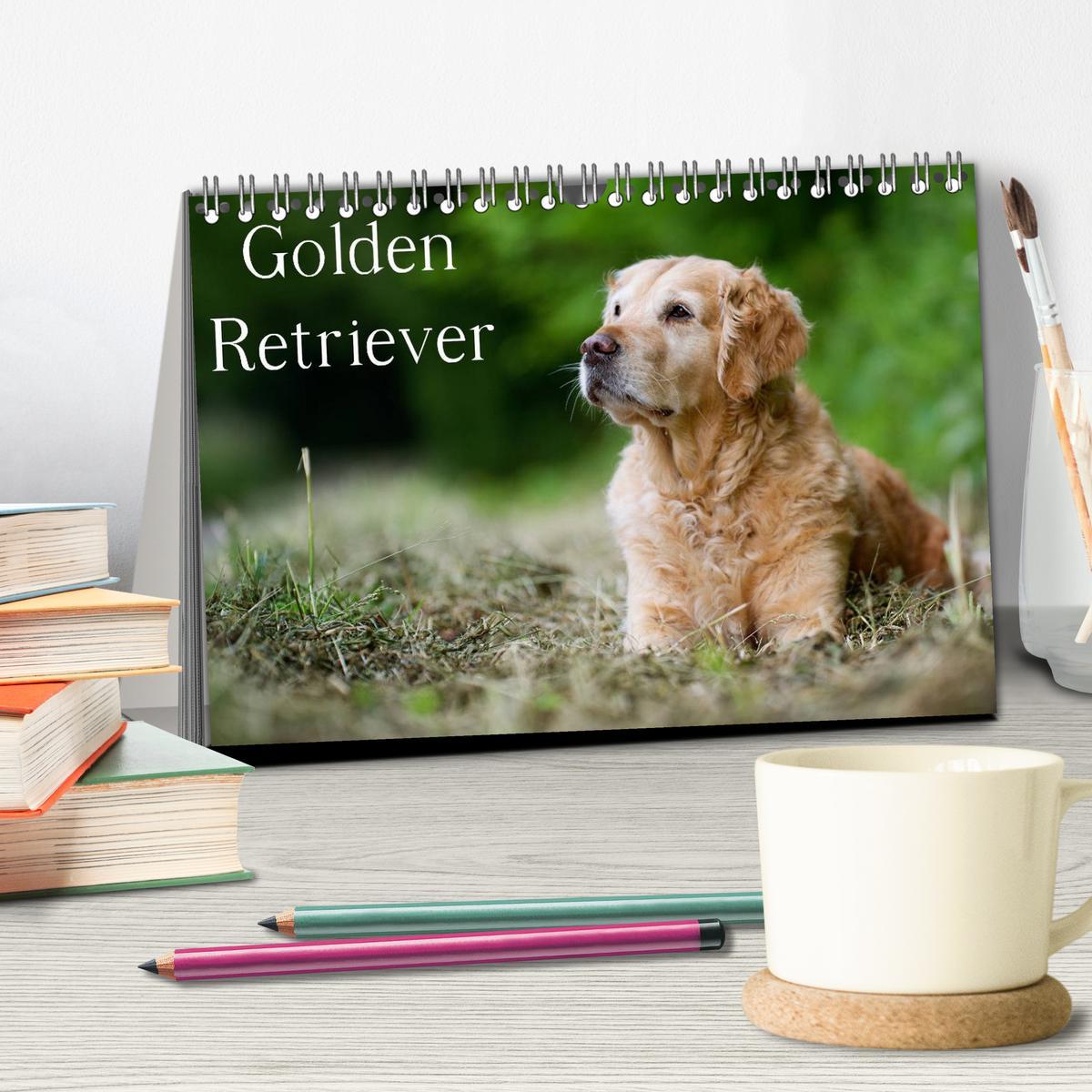 Bild: 9783435743162 | Golden Retriever (Tischkalender 2025 DIN A5 quer), CALVENDO...