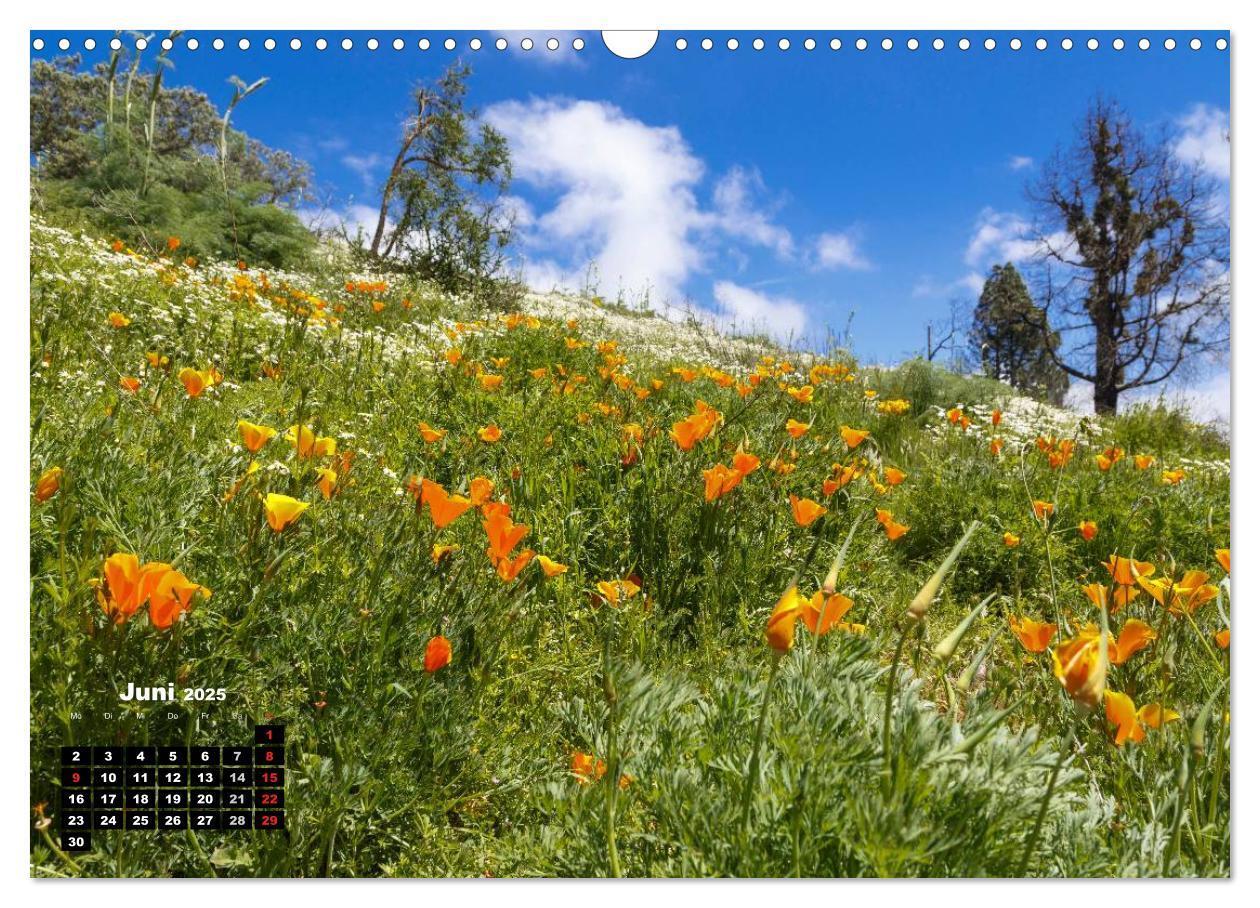 Bild: 9783435589203 | Auf Schusters Rappen... Gran Canaria (Wandkalender 2025 DIN A3...