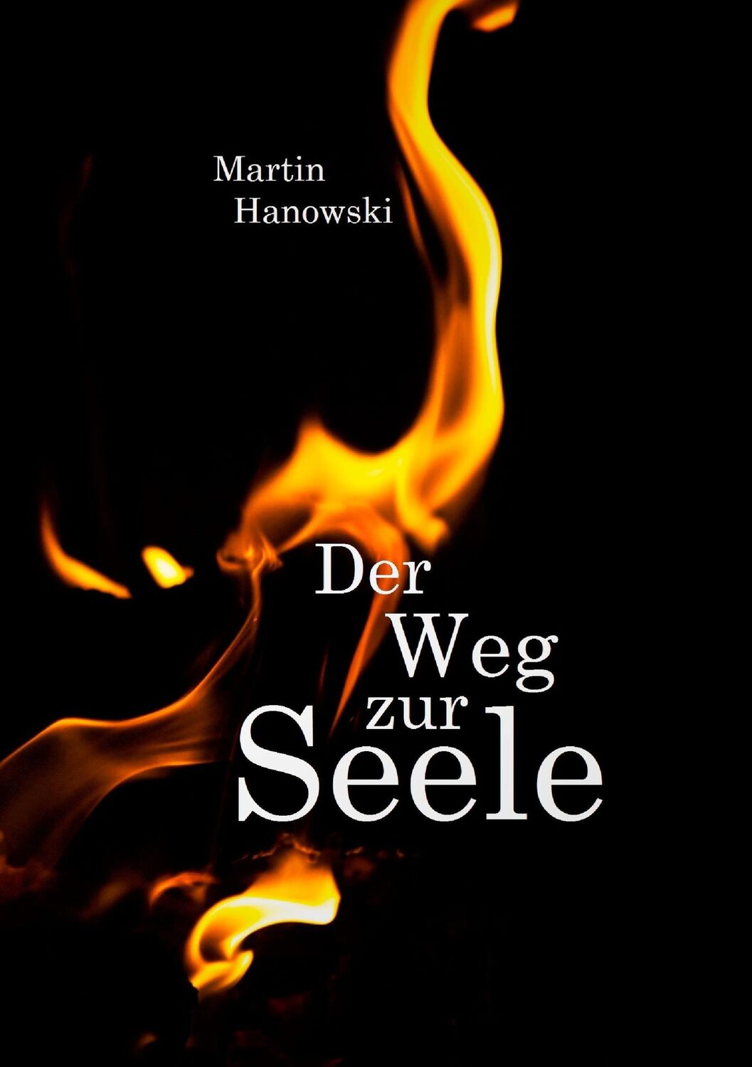 Cover: 9783743102088 | Der Weg zur Seele | Martin Hanowski | Taschenbuch | Paperback | 200 S.