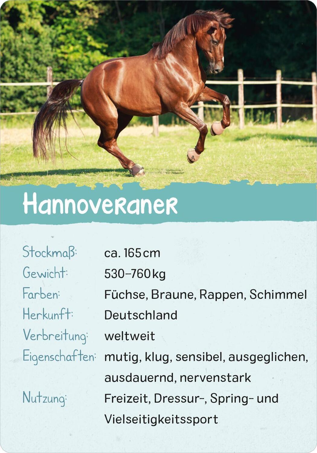 Bild: 9783845856582 | Naturforscher-Kids - Pferde &amp; Ponys | 50 Karten | Miriam Scholz | Buch