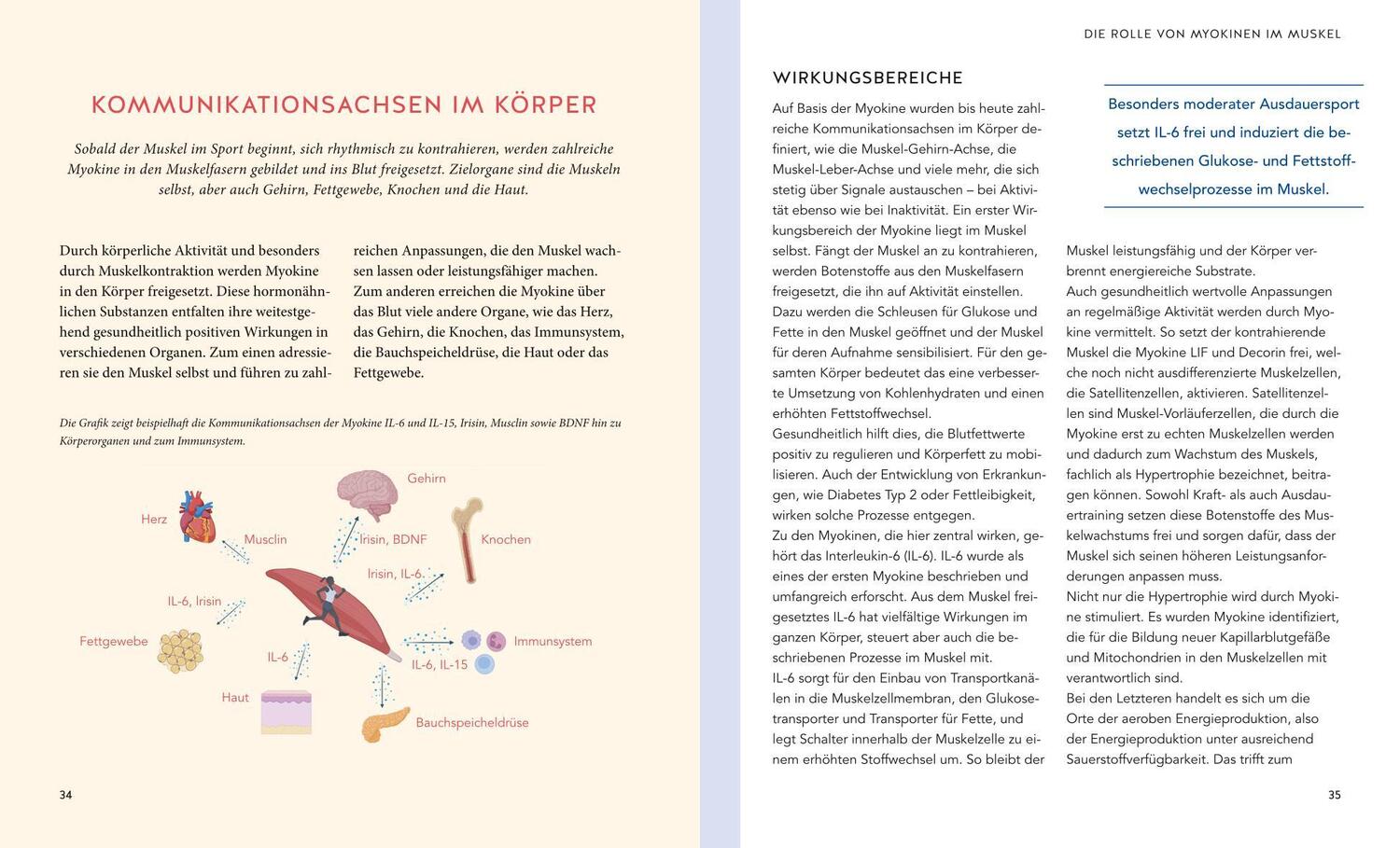 Bild: 9783833885501 | Jungbrunnen Muskulatur | Karsten Krüger | Taschenbuch | 128 S. | 2022