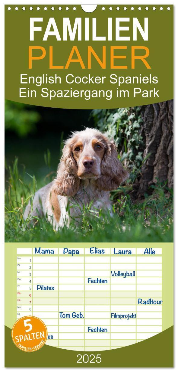 Cover: 9783457114216 | Familienplaner 2025 - English Cocker Spaniels - Ein Spaziergang im...