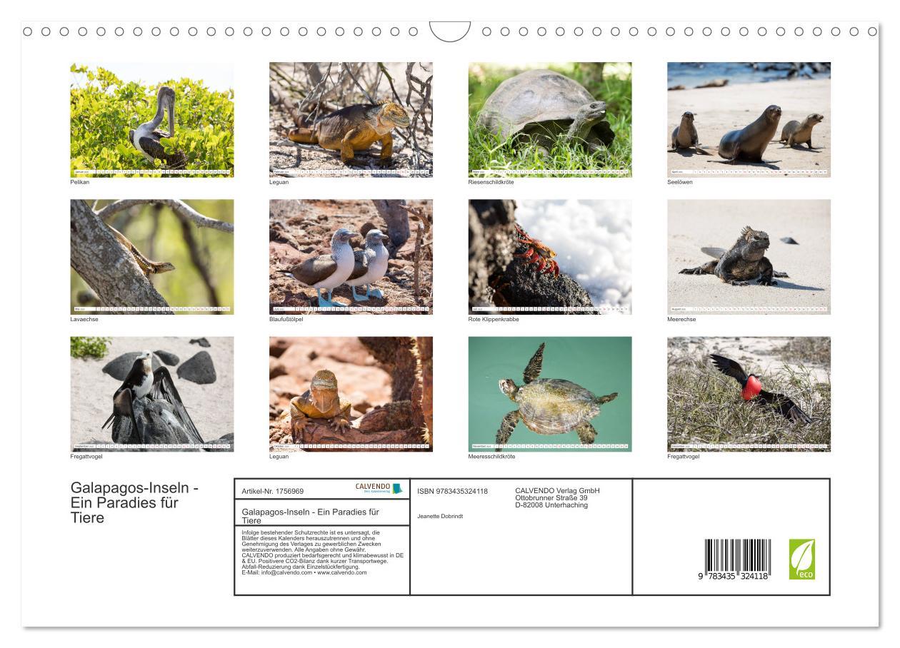 Bild: 9783435324118 | Galapagos-Inseln - Ein Paradies für Tiere (Wandkalender 2025 DIN A3...