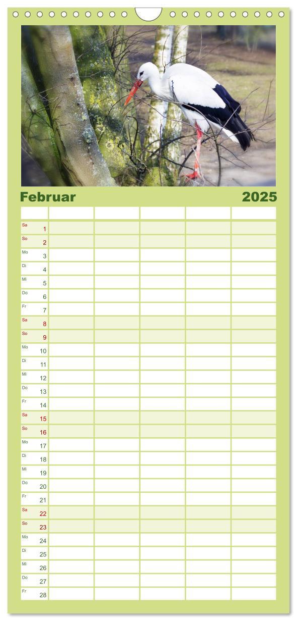 Bild: 9783457122150 | Familienplaner 2025 - Welt der Tiere mit 5 Spalten (Wandkalender,...