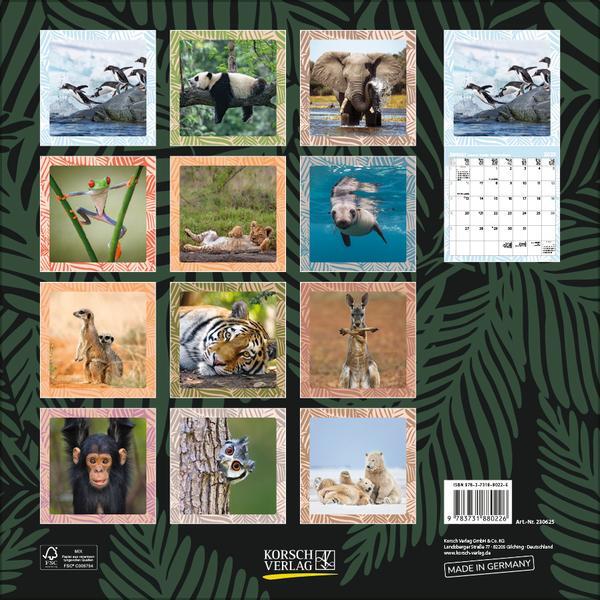 Bild: 9783731880226 | Achtung wild - Tiere aus aller Welt 2025 | Verlag Korsch | Kalender