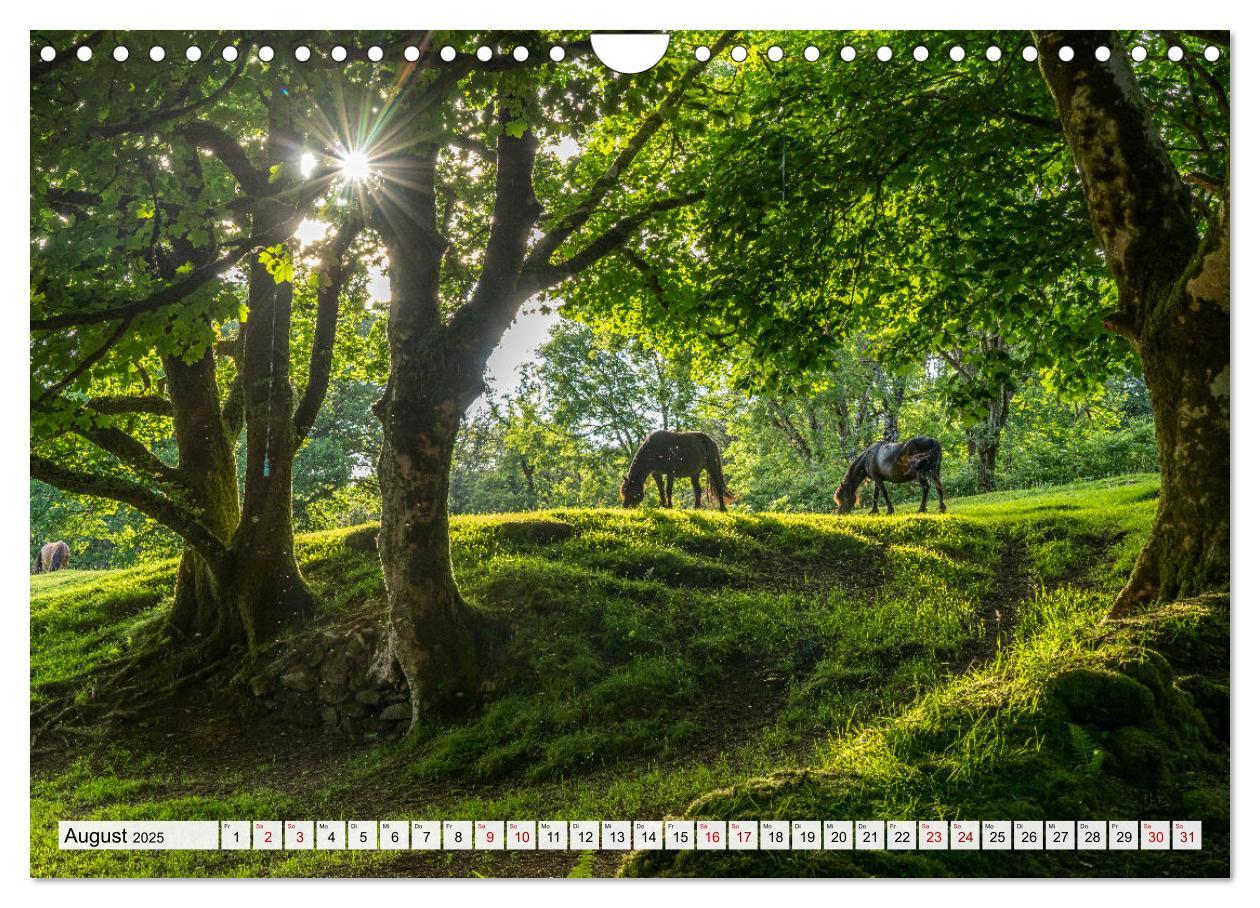 Bild: 9783383850042 | Großbritannien - England (Wandkalender 2025 DIN A4 quer), CALVENDO...