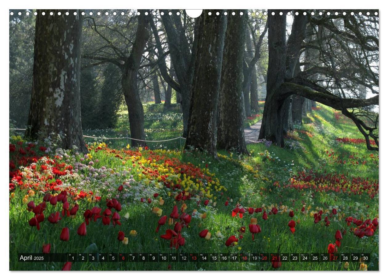 Bild: 9783435696093 | Zauberhafter Bodensee (Wandkalender 2025 DIN A3 quer), CALVENDO...