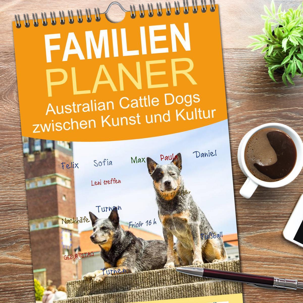 Bild: 9783457106488 | Familienplaner 2025 - Australian Cattle Dogs zwischen Kunst und...