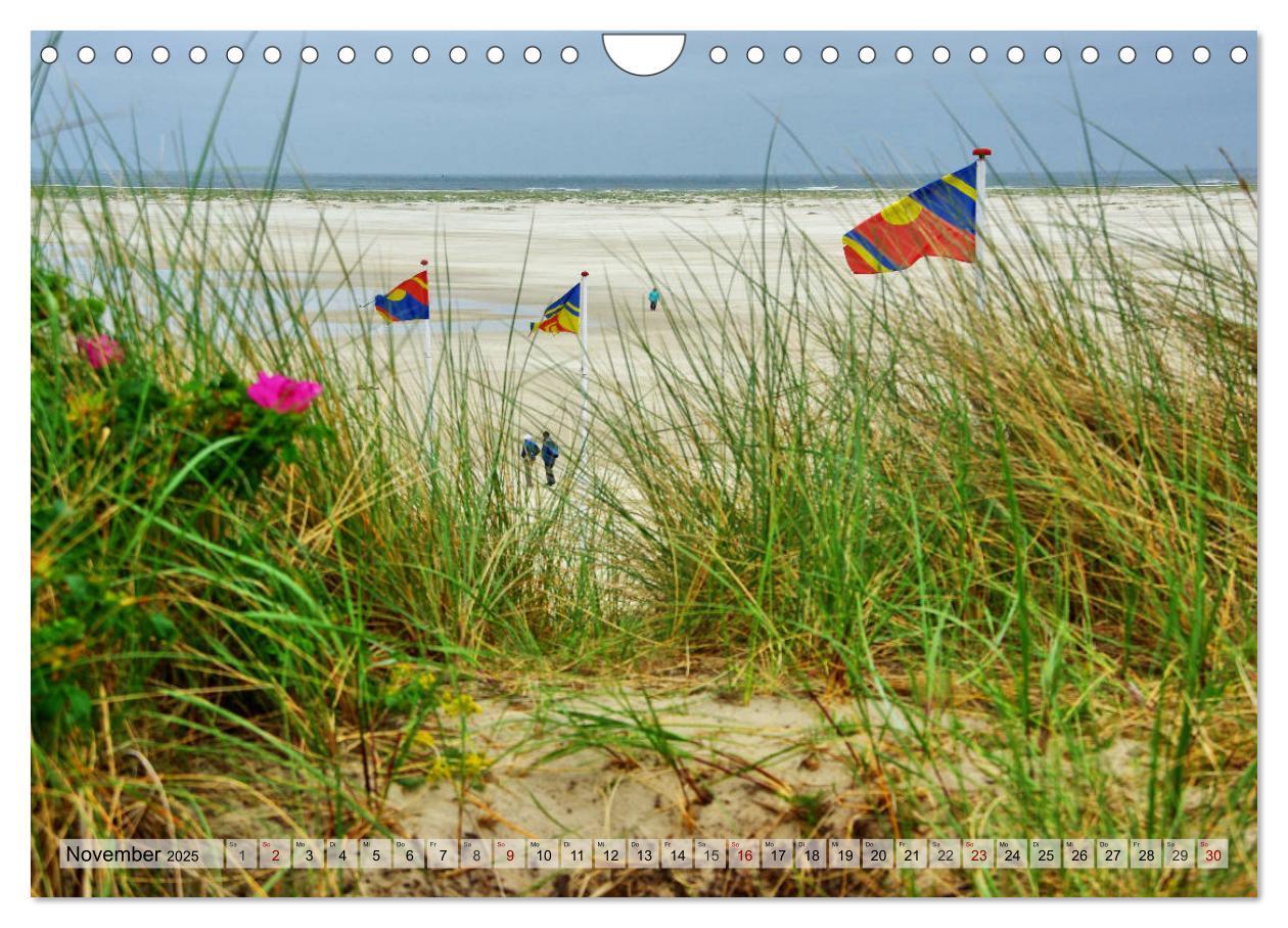 Bild: 9783435418510 | Typisch Amrum! (Wandkalender 2025 DIN A4 quer), CALVENDO...