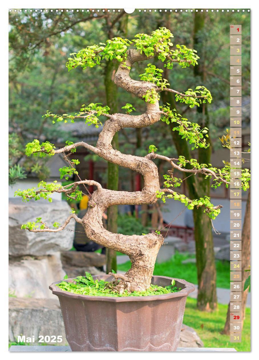 Bild: 9783435851881 | Bonsai: Gartenkunst im Kleinen (Wandkalender 2025 DIN A2 hoch),...